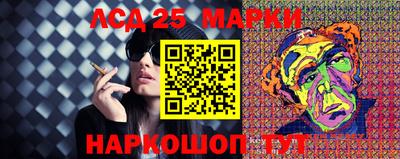 СК Волгодонск