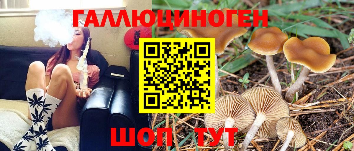 Ликино-Дулёво  Псилоцибиновые грибы ЛСД  Вход с VPN 