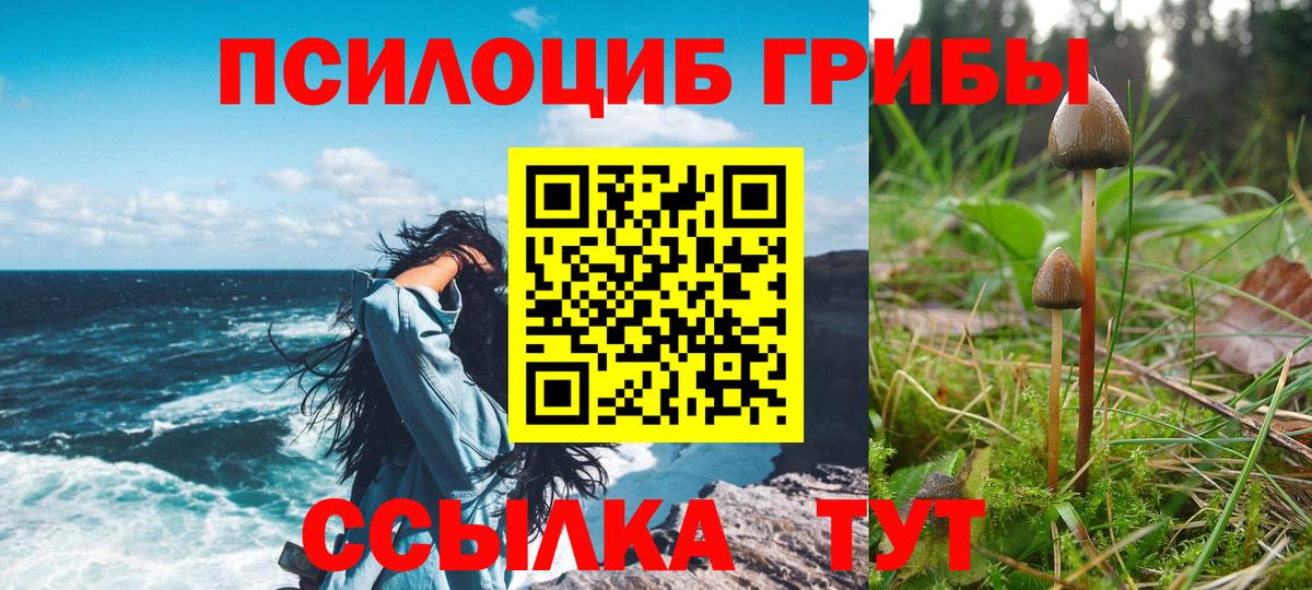 Псилоцибиновые грибы мицелий Ликино-Дулёво